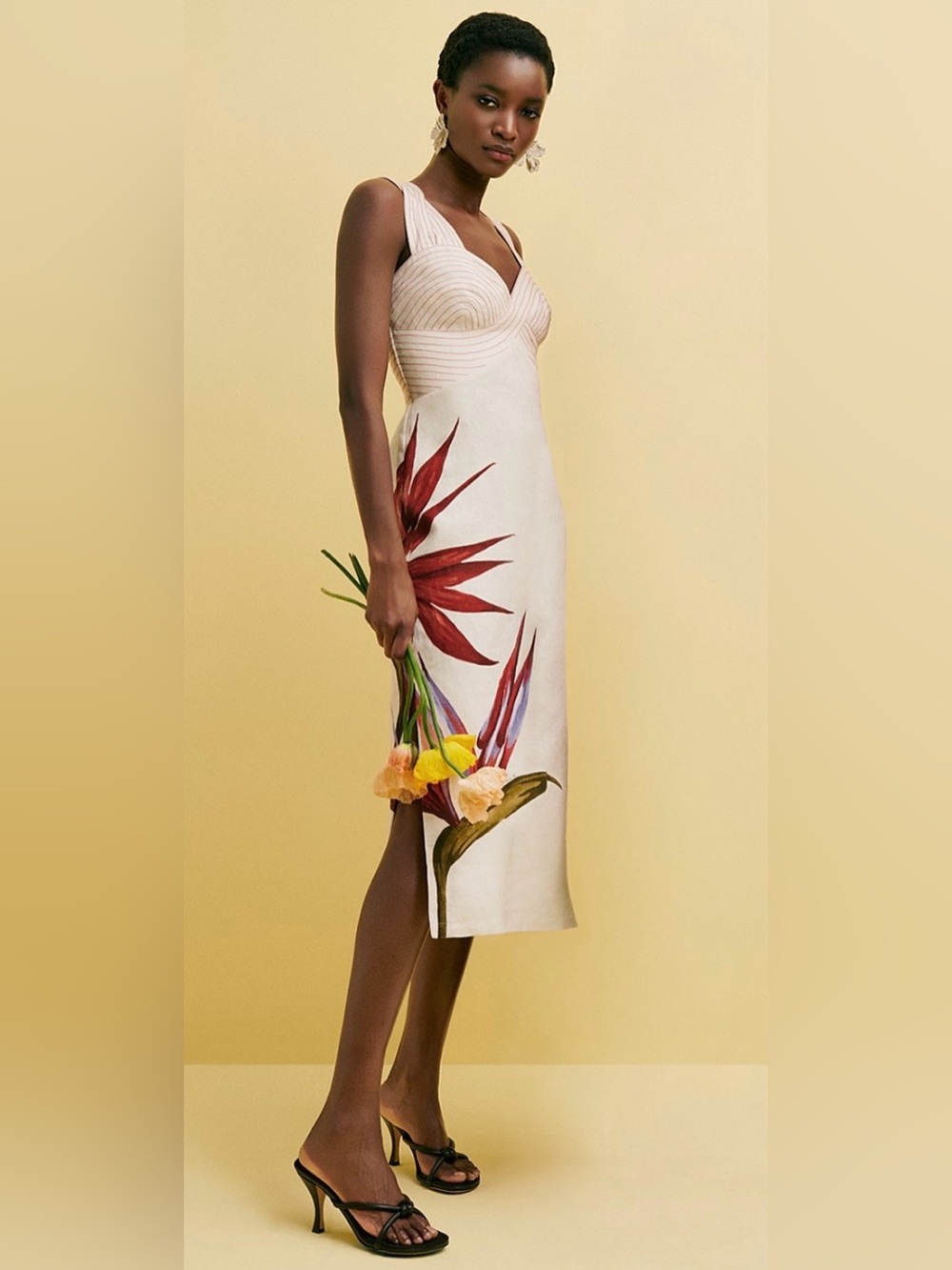 FARM Rio Strelitzia Linen Midi Dress - Picture 6 of 8